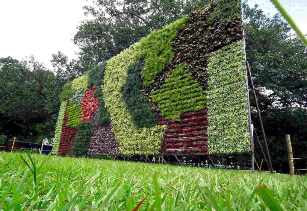 rsz_19466281226_a8d05f957a_h