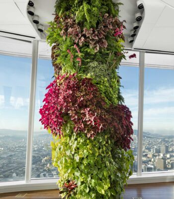 vertical-garden-column-091120-1115-04