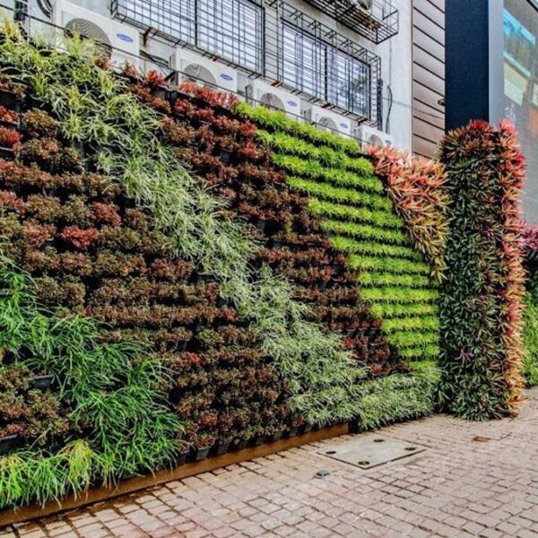 vertical-garden-plants