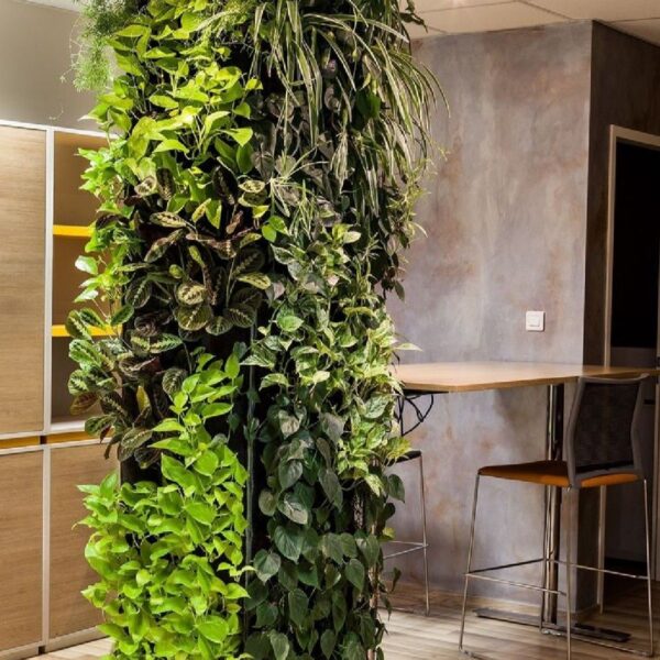 Jardin Vertical Columna