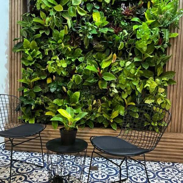 Jardin vertical patio